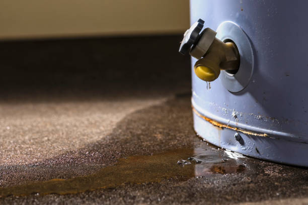 Best Local water damage restoration  in Angier, NC