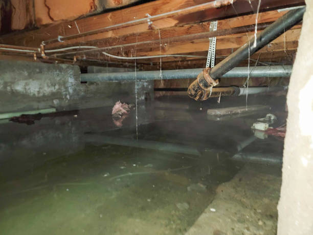 Sewage cleanup and water damage restoration in NC