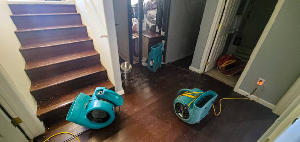 Best Water damage restoration near me  in Angier, NC