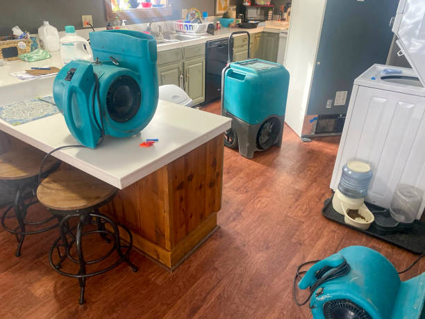 Best Carpet water damage restoration  in Angier, NC