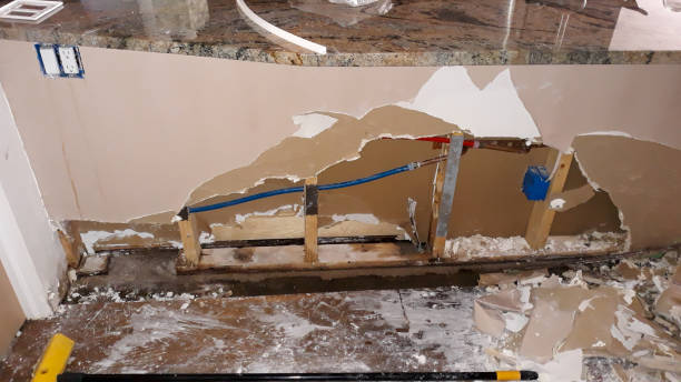 Best Professional water damage repair  in Angier, NC