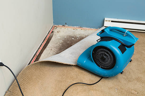 Best Water damage cleanup near me  in Angier, NC